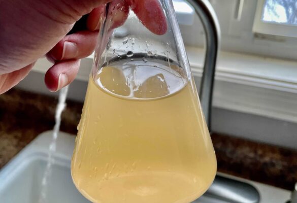 Iron found in New Hampshire drinking water during well water test.