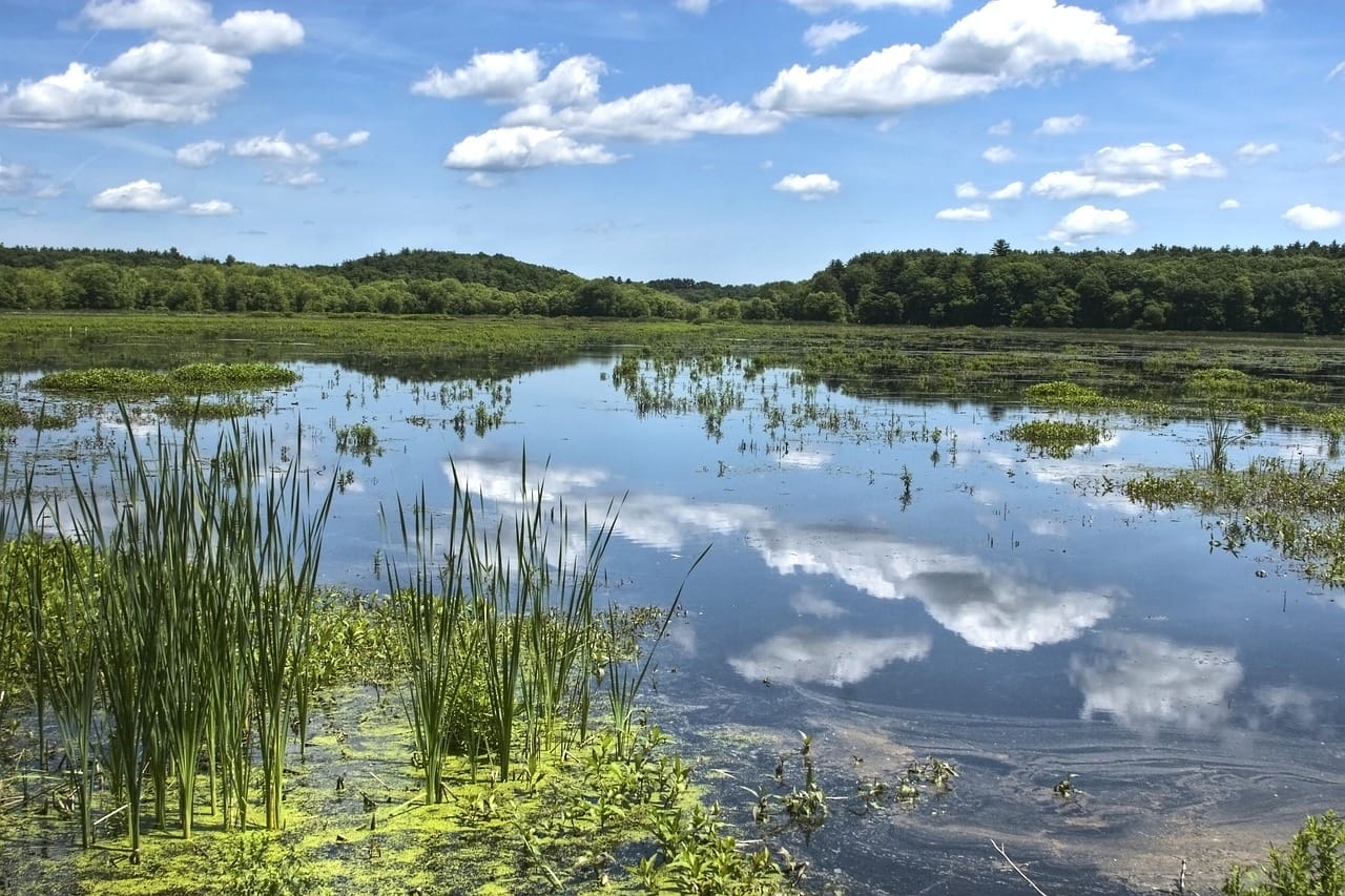 Lake in Amherst, NH