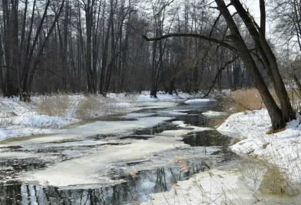 Spring water contamination from rain and snowmelt impacts New Hampshire drinking water.