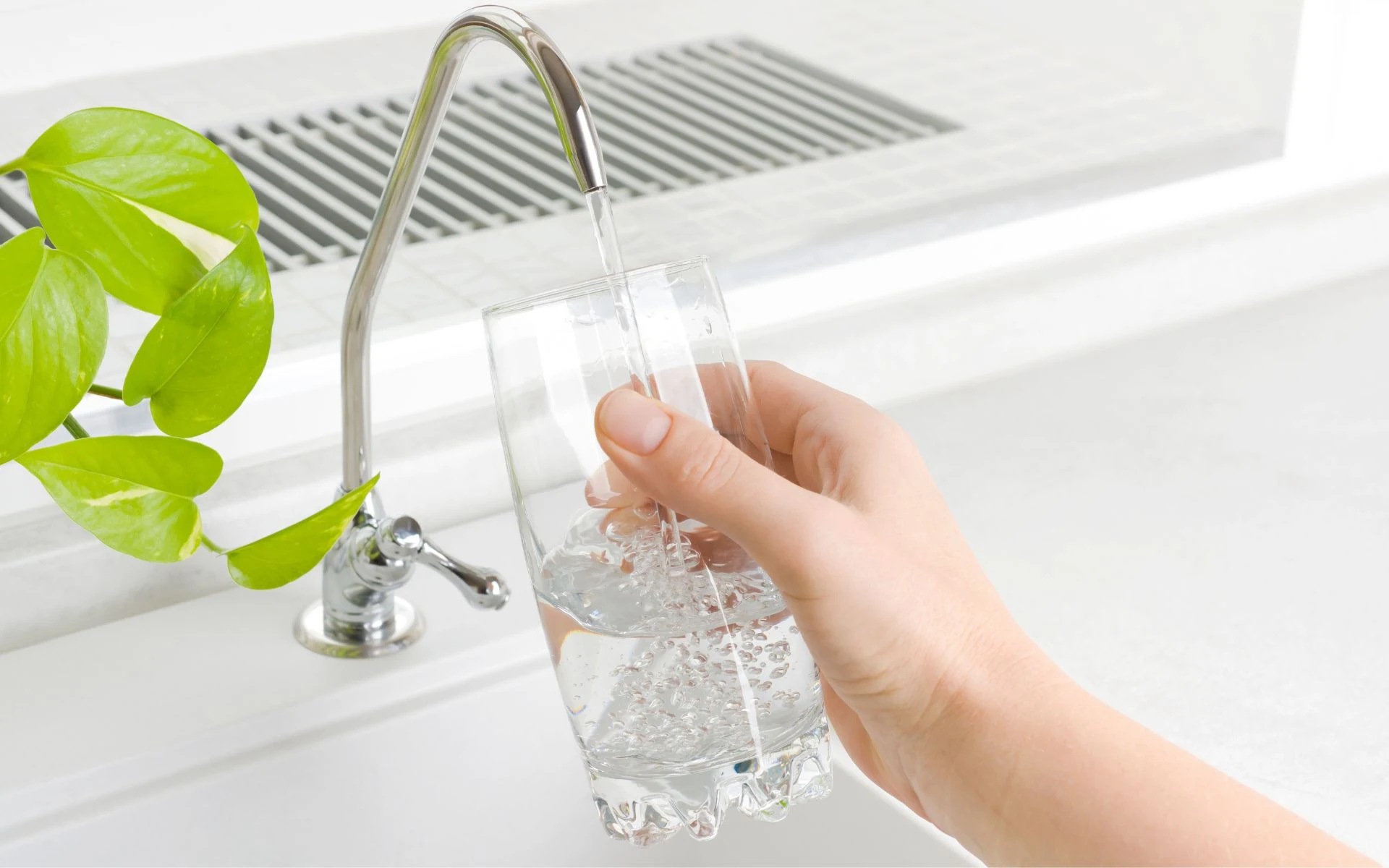 Glass of filtered water being filled from a modern kitchen faucet